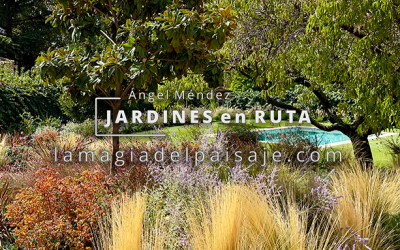 Vídeo Reportaje, Jardines en ruta: jardín naturalista